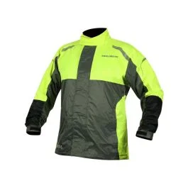 king-moto202606010108141829068