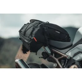 king-moto202606010109451829241