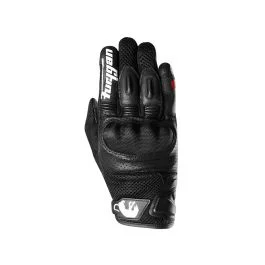 king-moto202606010713041870280